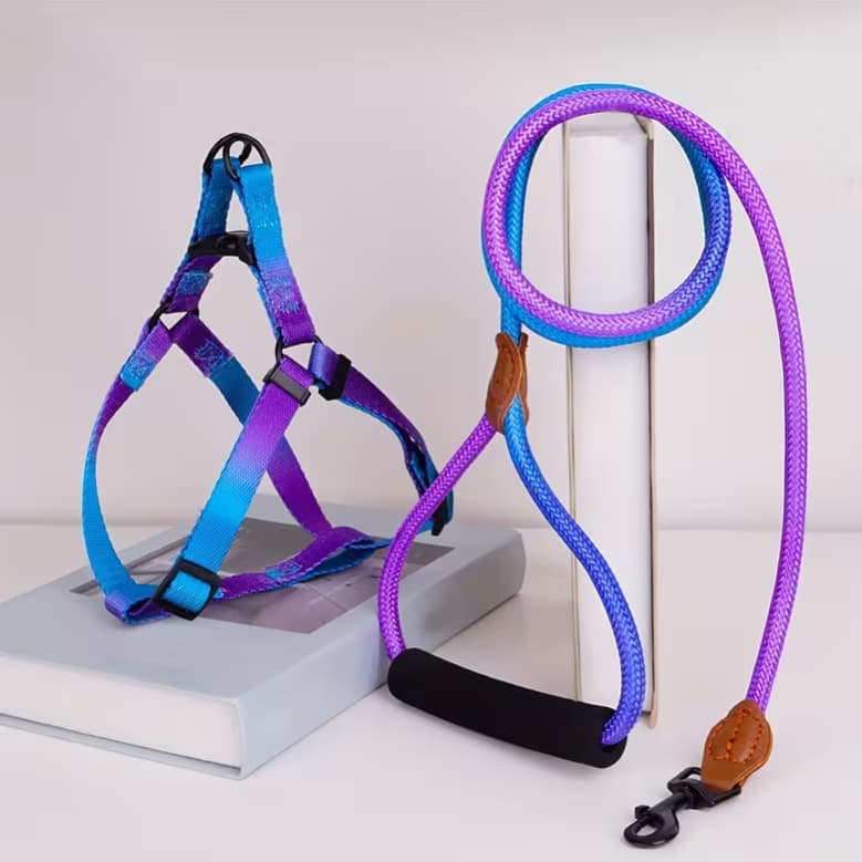 The Galaxy Sport Set