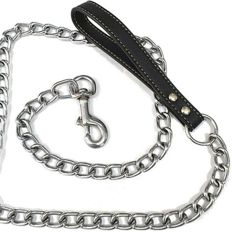Chain Leash