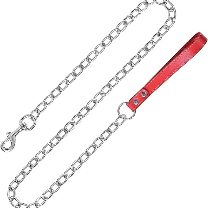 Chain Leash
