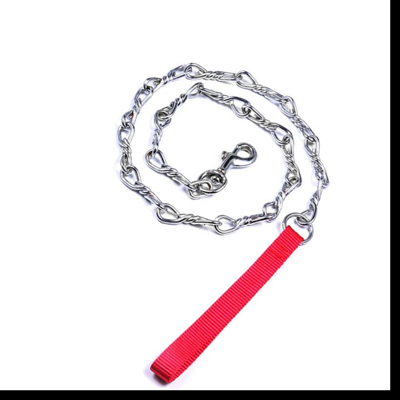 Twisted Steel Safety Leash