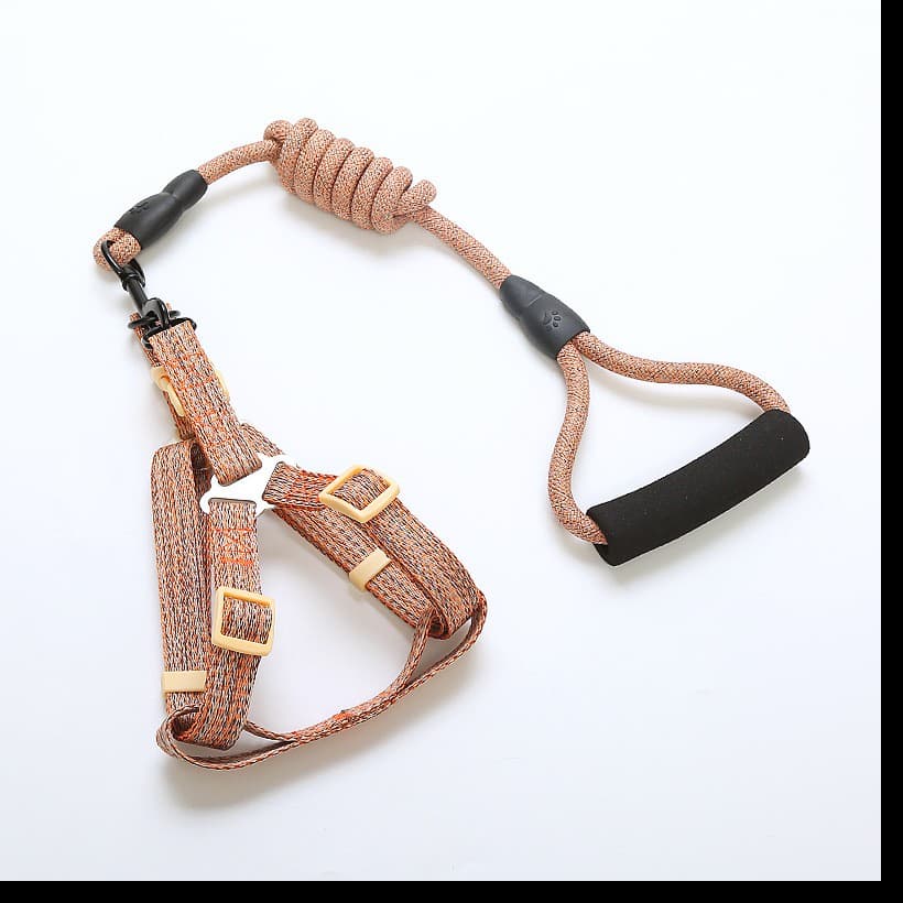 harness and leash set
