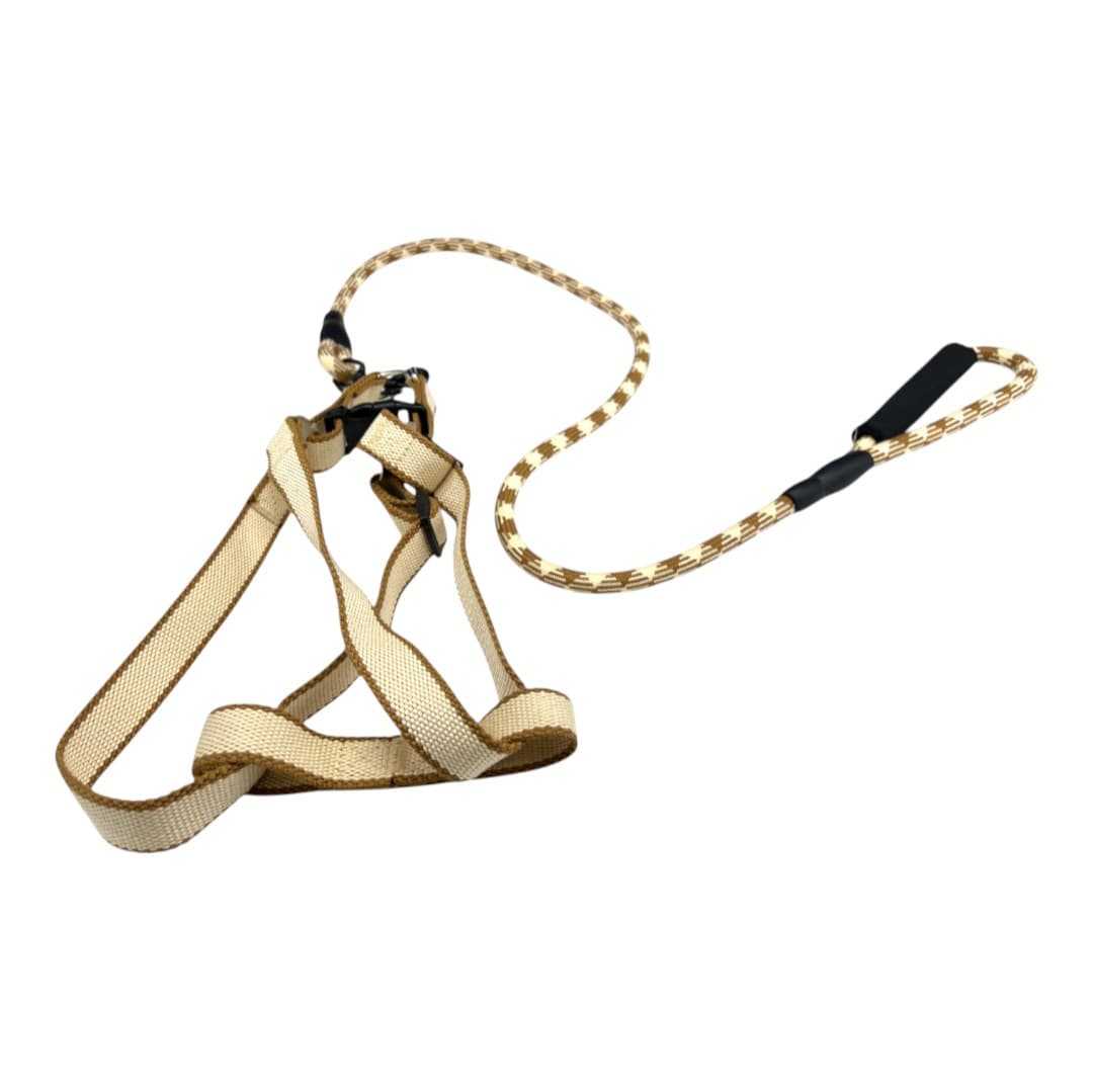 harness and leash set