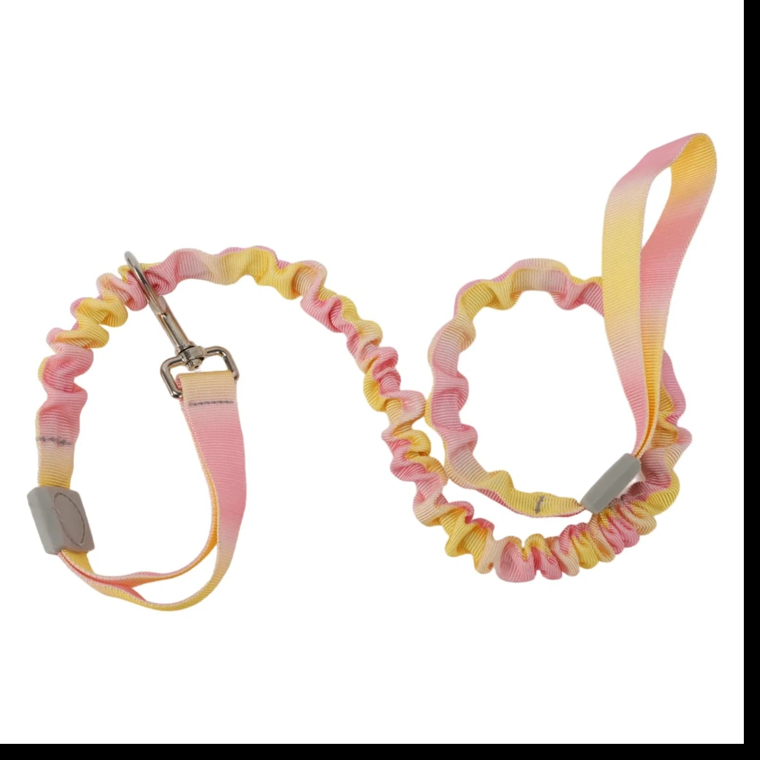 bungee leash