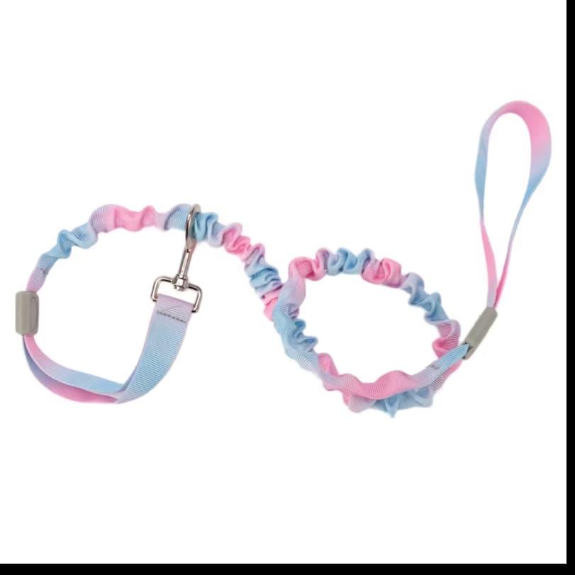 Bungee Leash