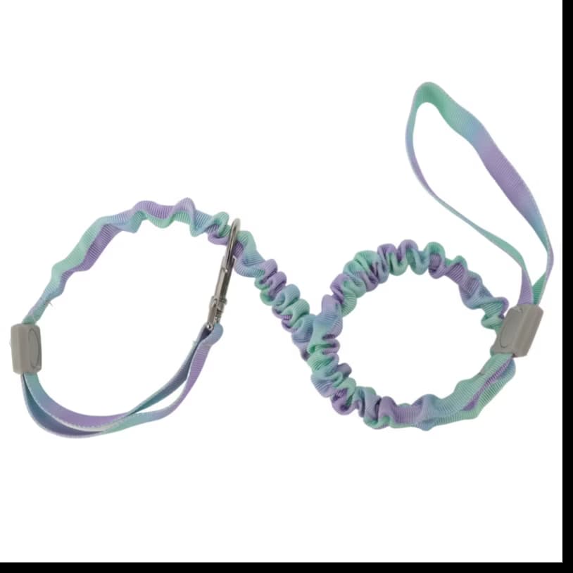Bungee Leash