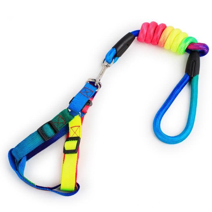 Rainbow leash