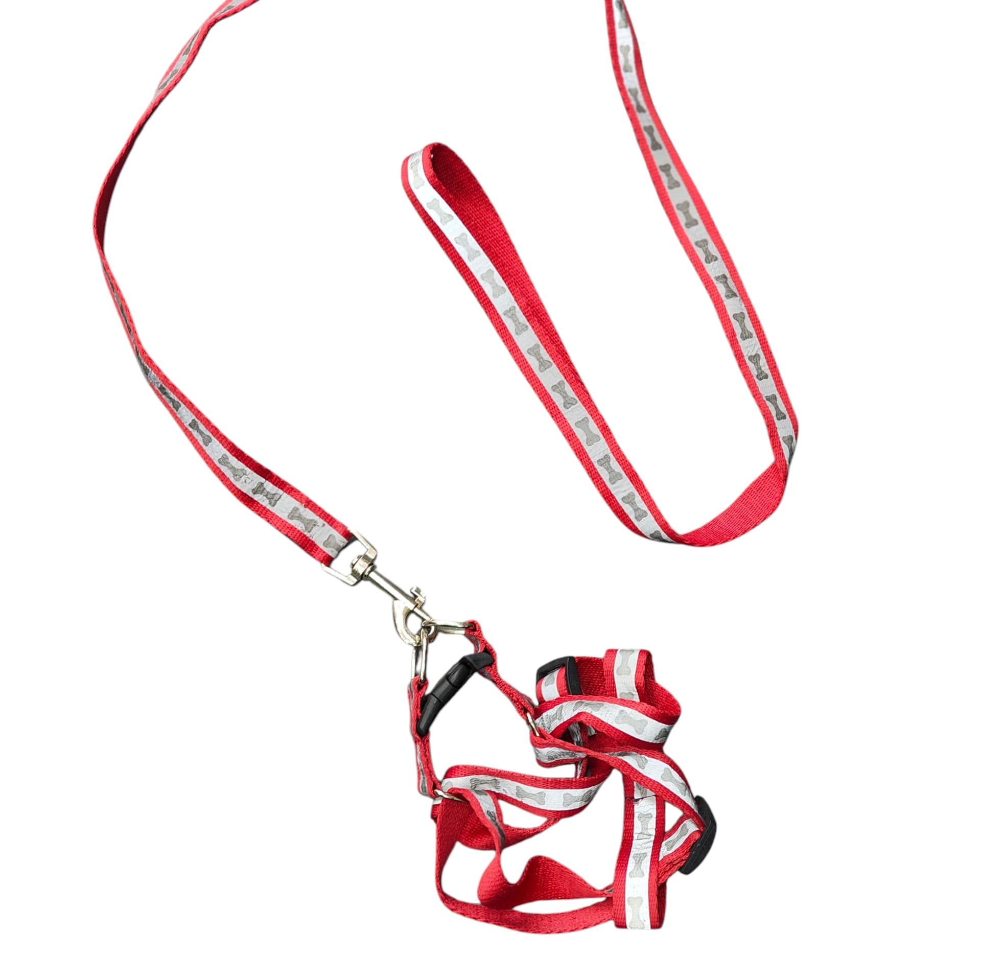 Harness and leash set
