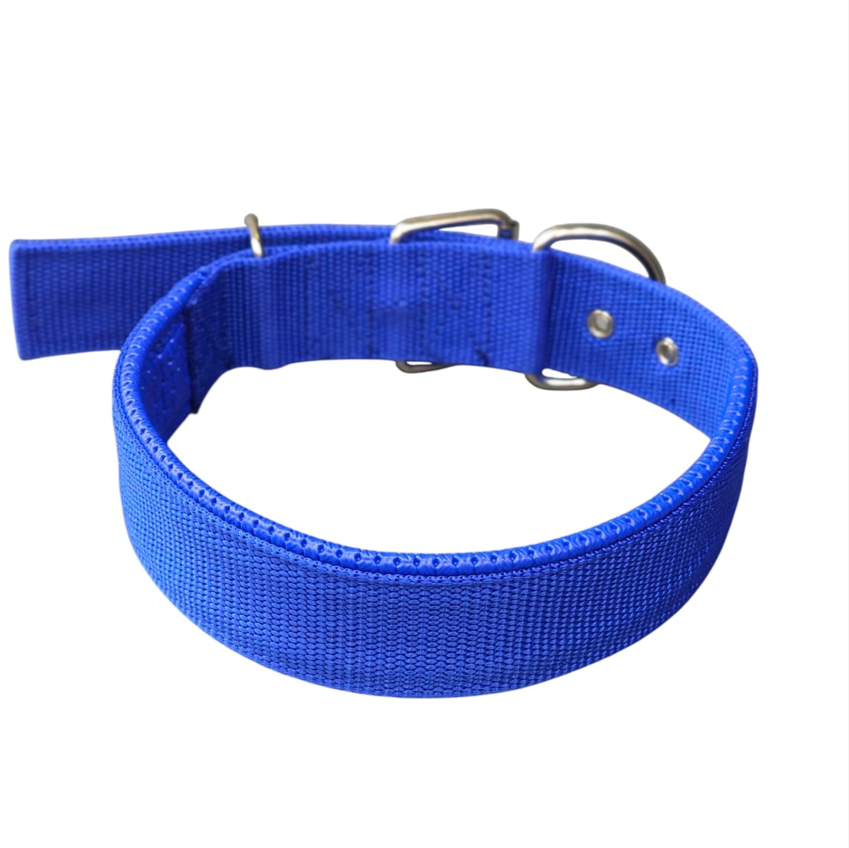 High strength webbing collar - blue