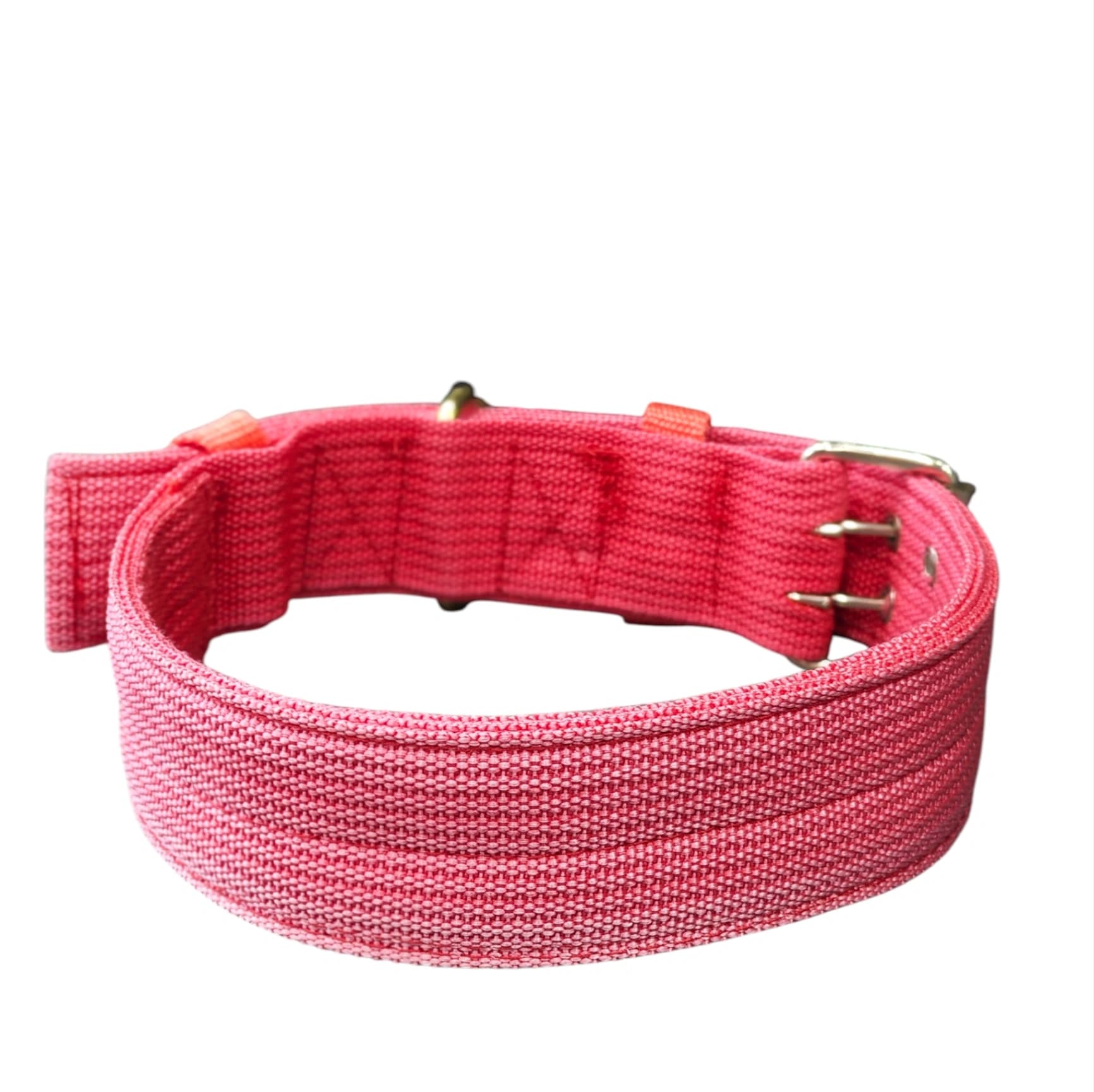 Wide profile webbing collar - red