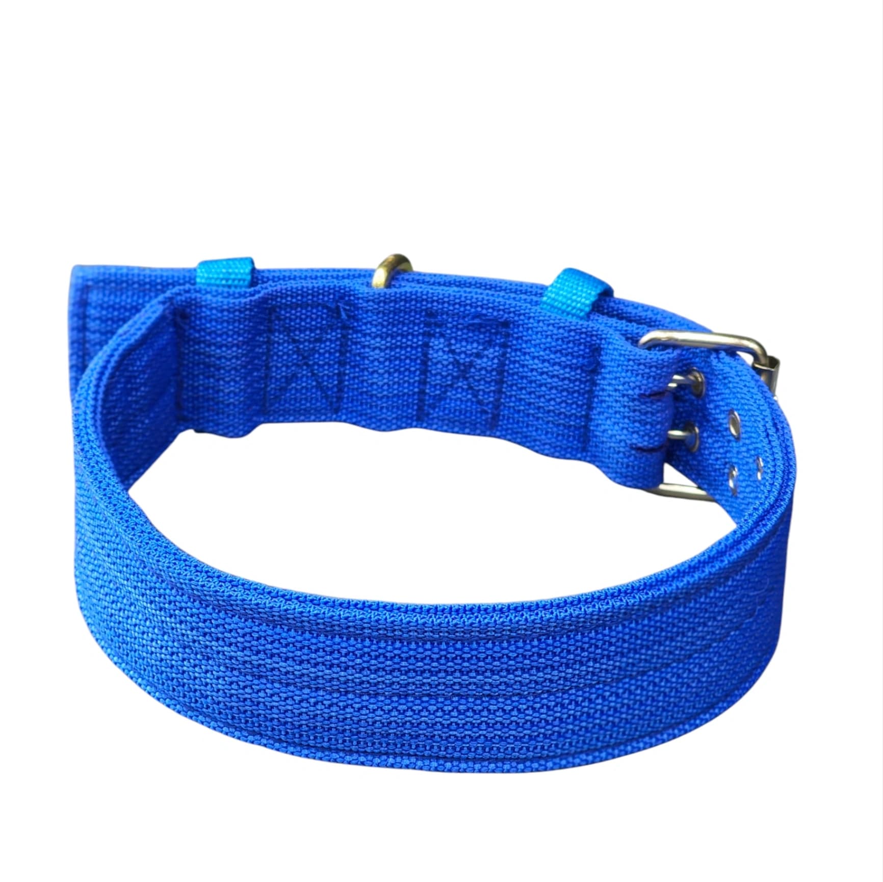 Wide profile webbing collar - blue
