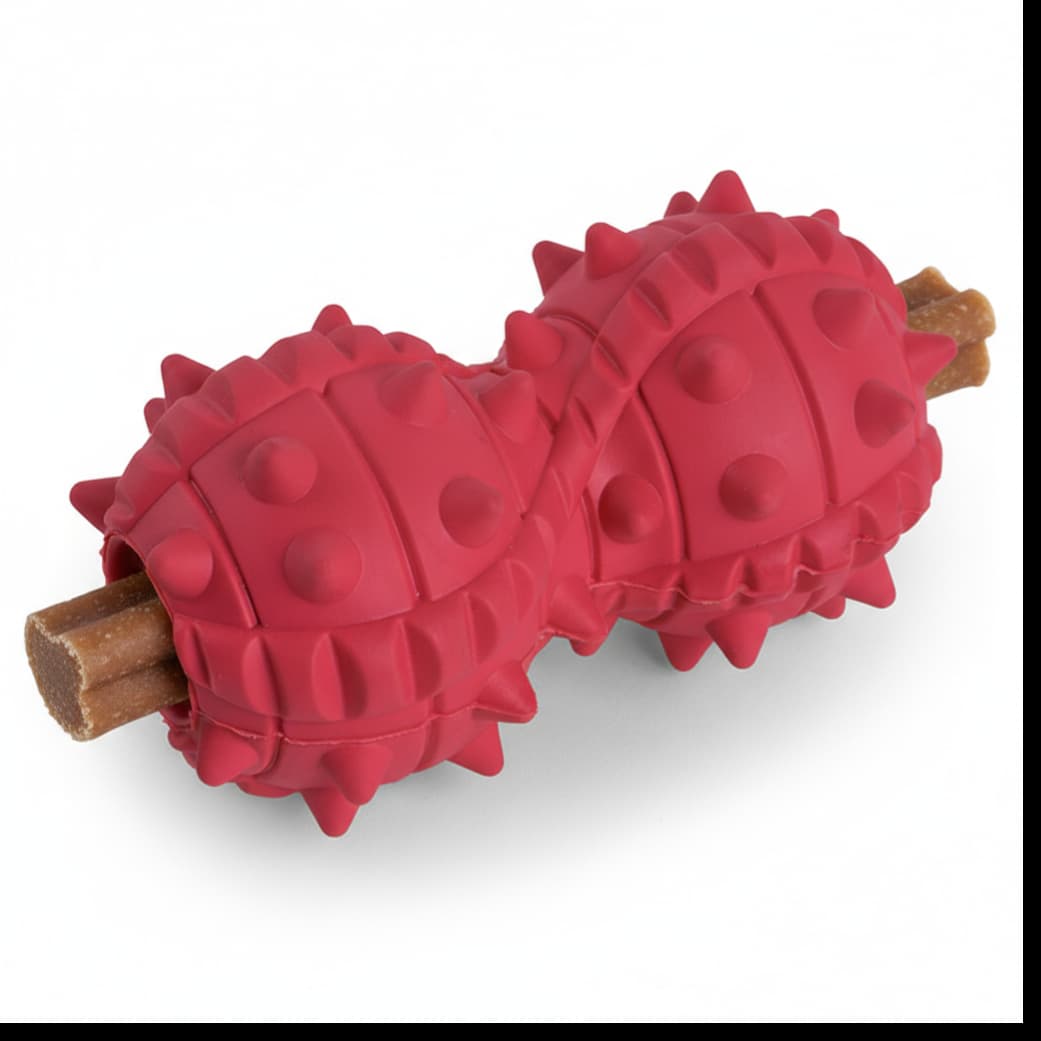 Spiked chew toy