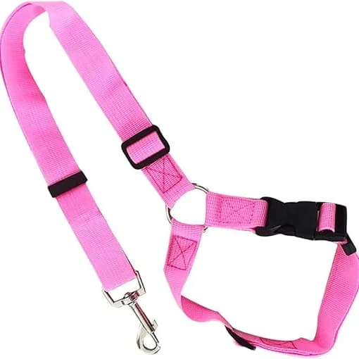 Seat Belt Leash Car Harness