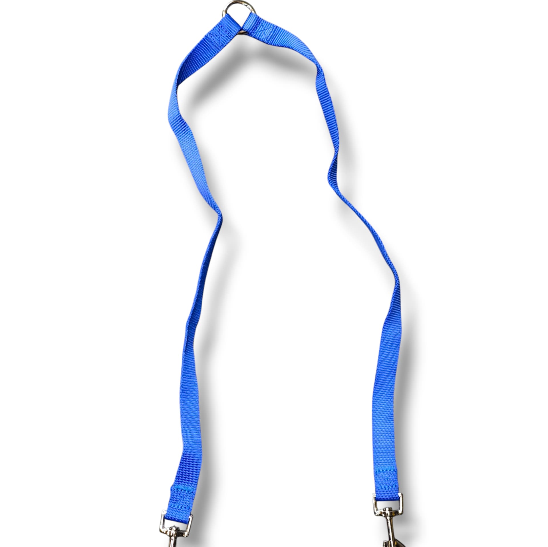 Dual Leash