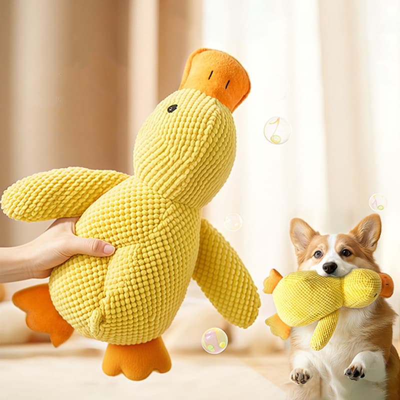 Plush Duck Squeaky Dog Toy - S