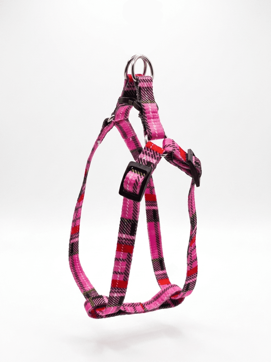 Strapping Harness - Small